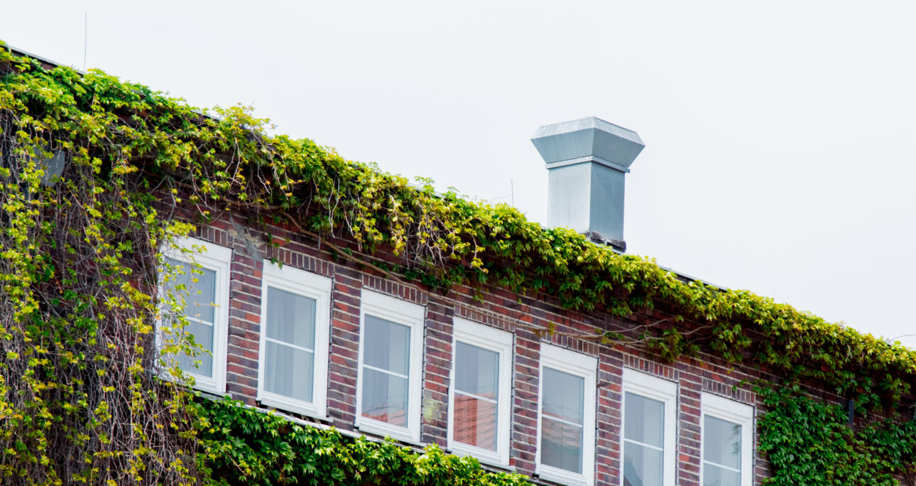 Baltimore County’s Green Building Tax Credit: How LEED Certification Saves You Money